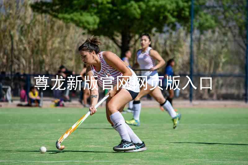 尊龙新版官网网页版入口