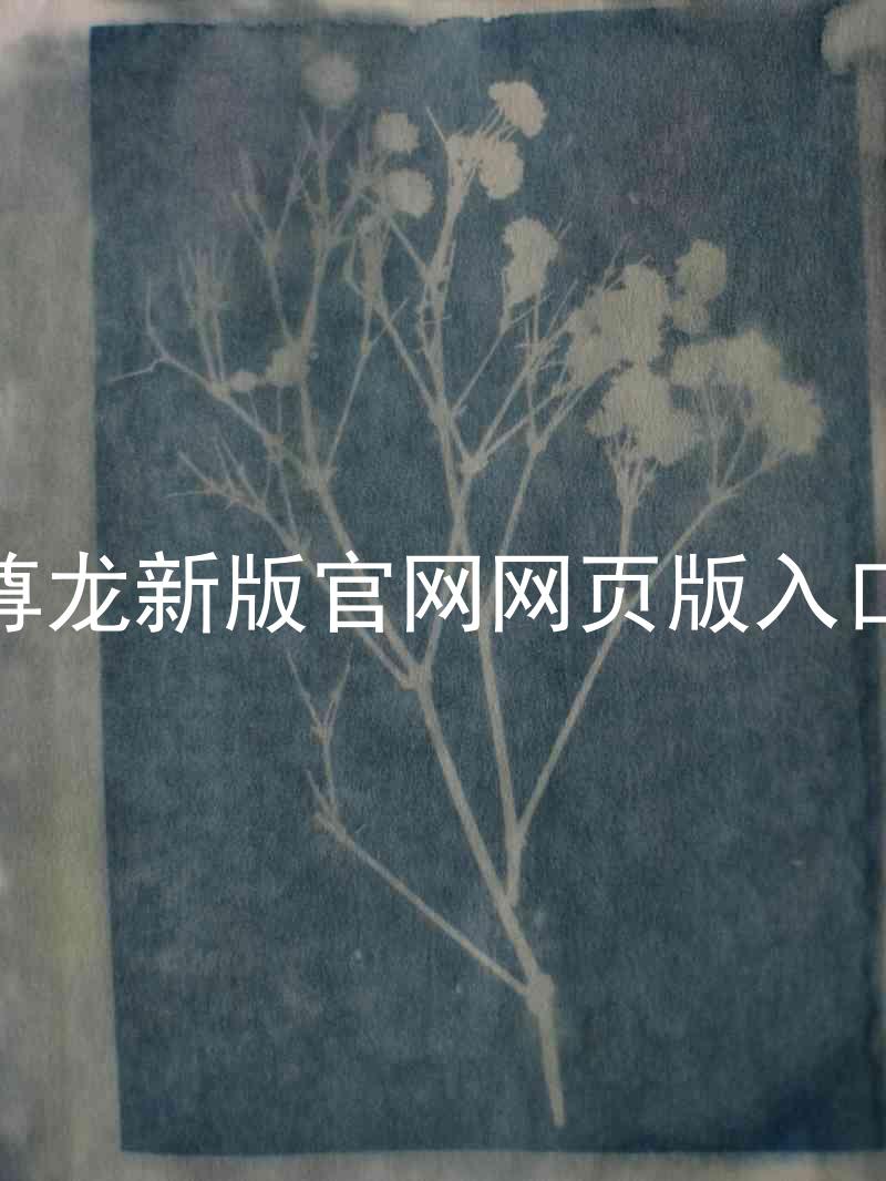 尊龙新版官网网页版入口